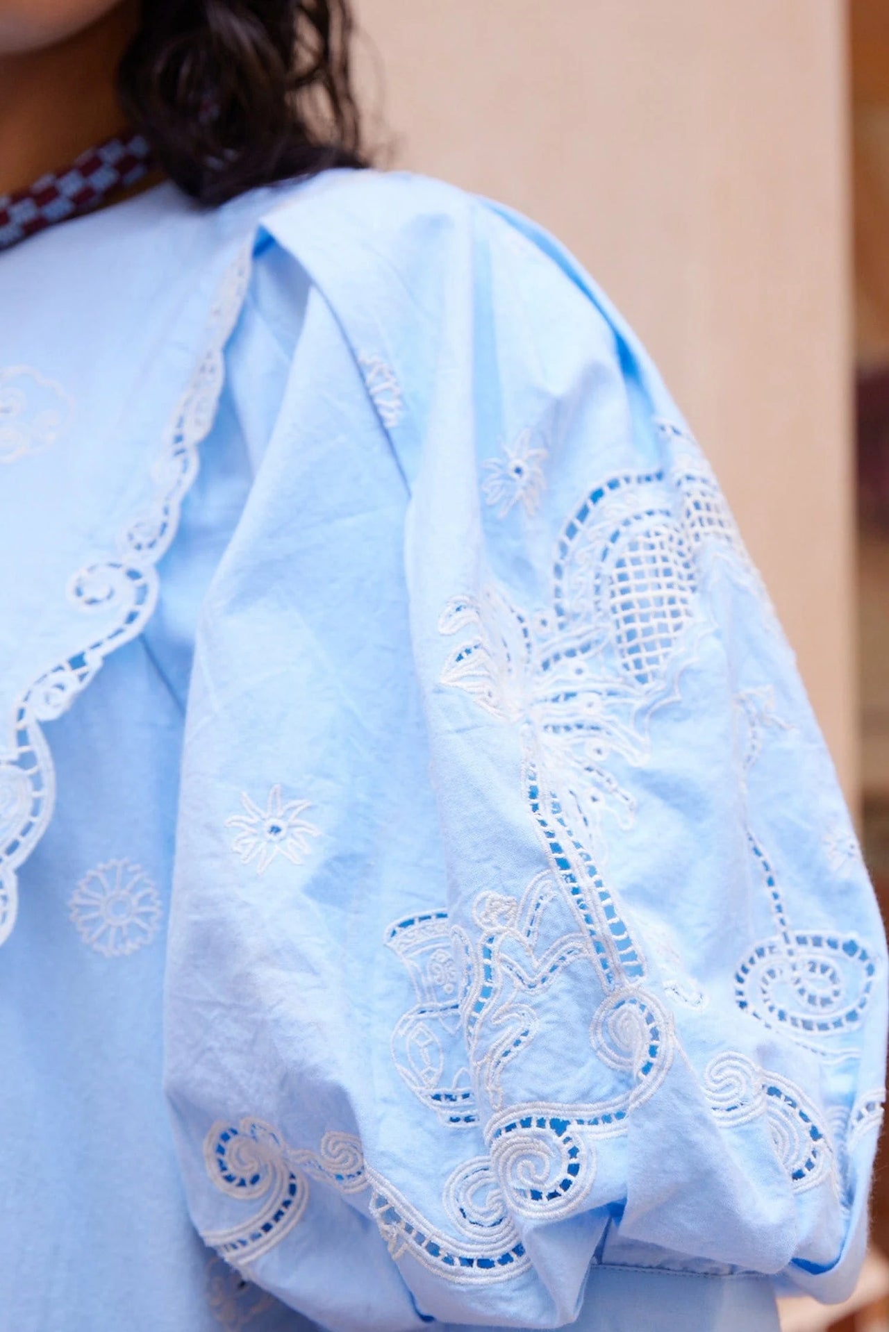 Maizy Embroidered Mini Dress