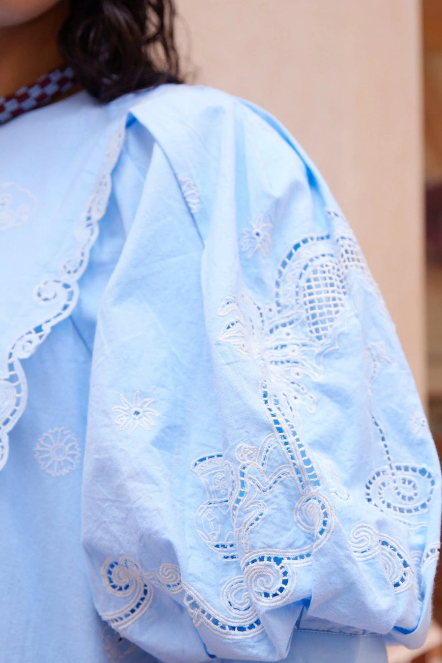 Maizy Embroidered Mini Dress